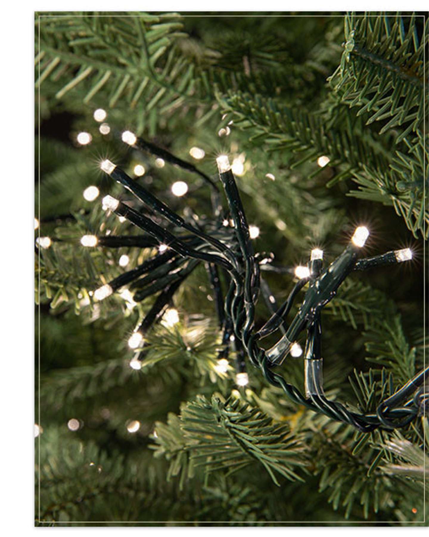 Balsam Hill Cluster Micro LED Lights Product Display