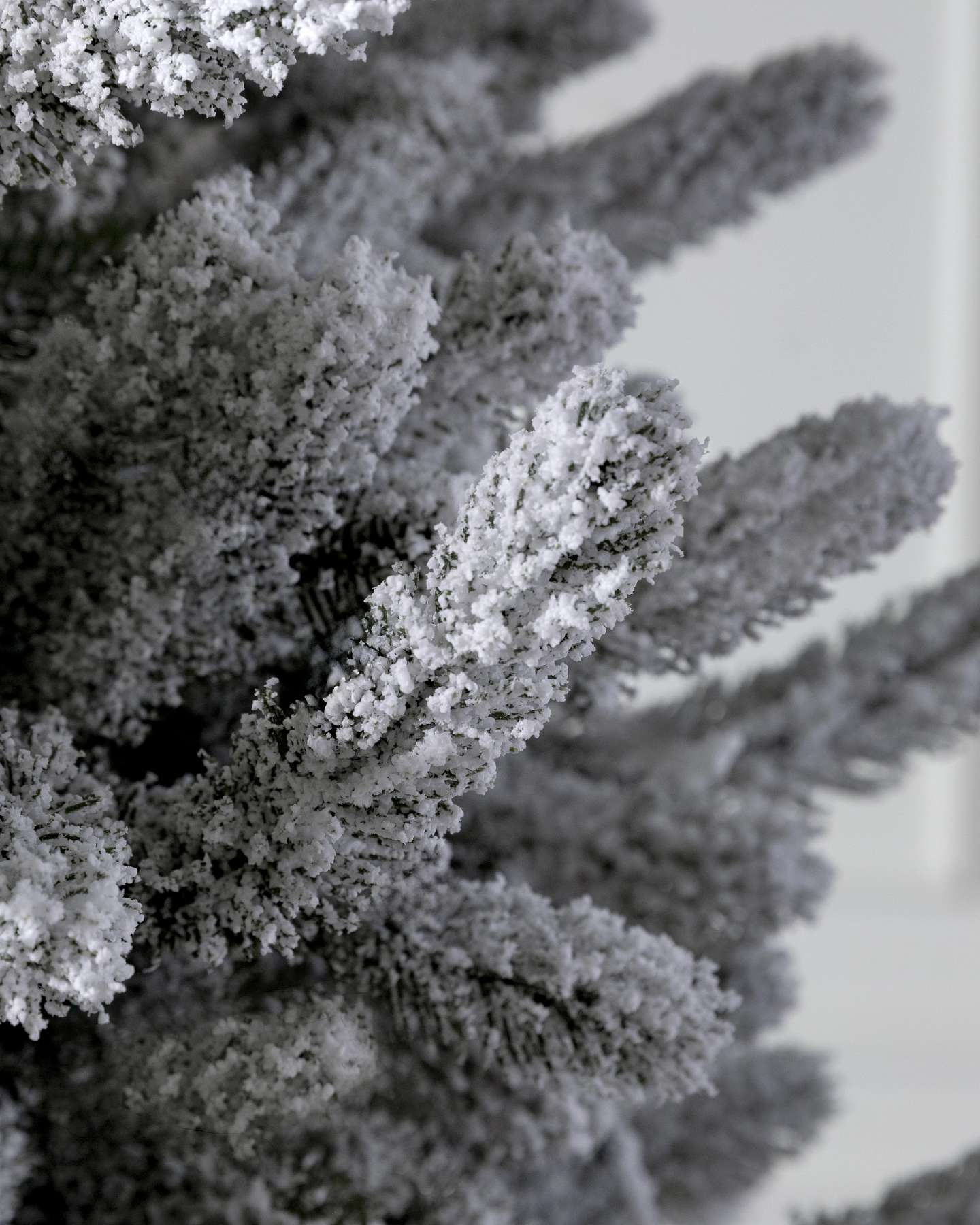 Frosted Vermont White Spruce by Balsam Hill Branch Detail