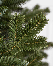 Christmas greenery with pinecones