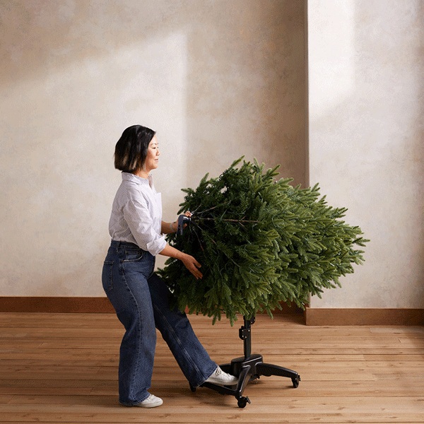 Shop Flip Trees