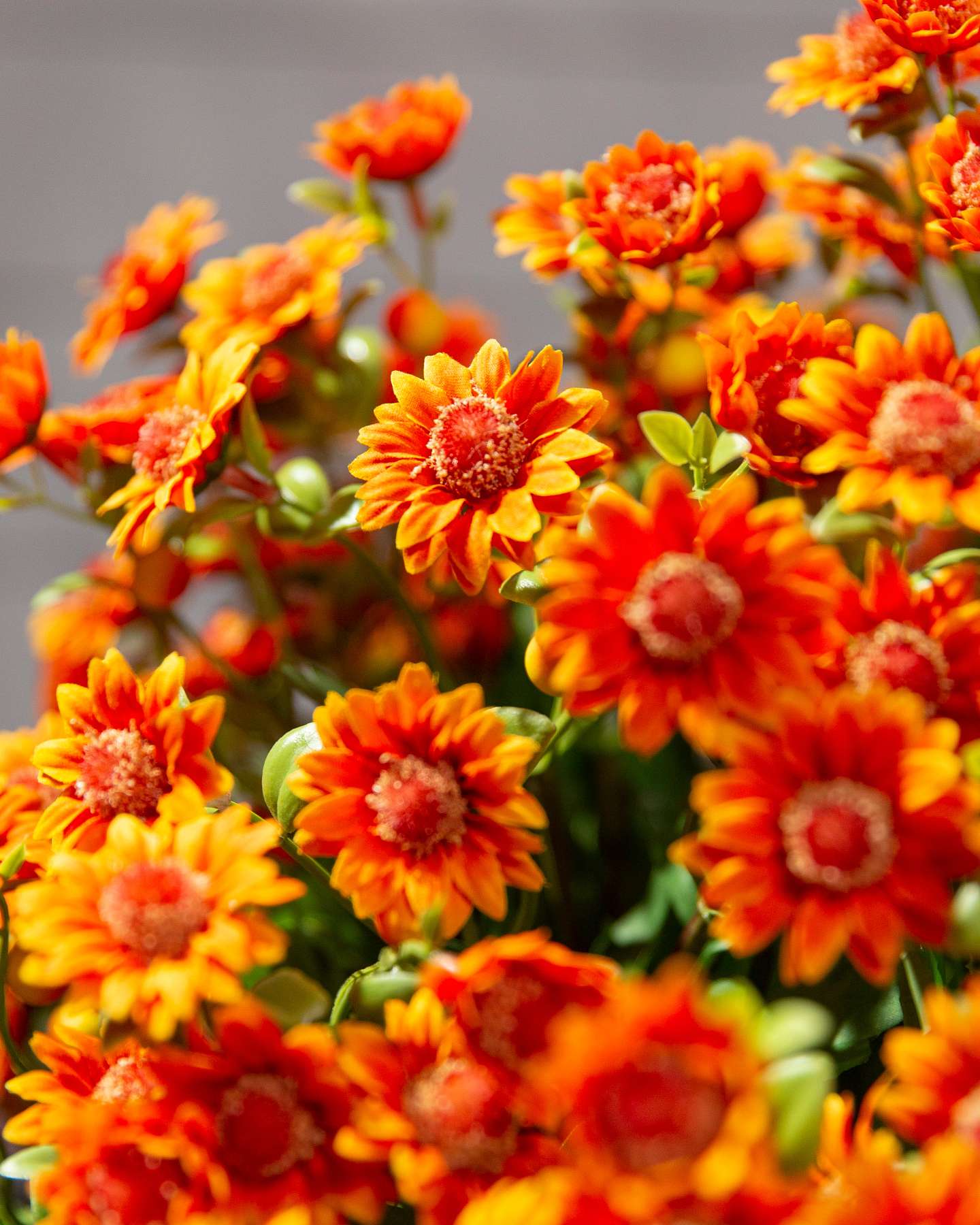 Balsam Hill 24-Inch Outdoor Orange Potted Artificial Fall Foliage Mums Unlit Closeup