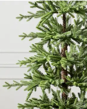 Alpiner Baum Alpiner Baum