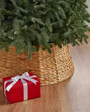 A red present by the Christmas tree collar