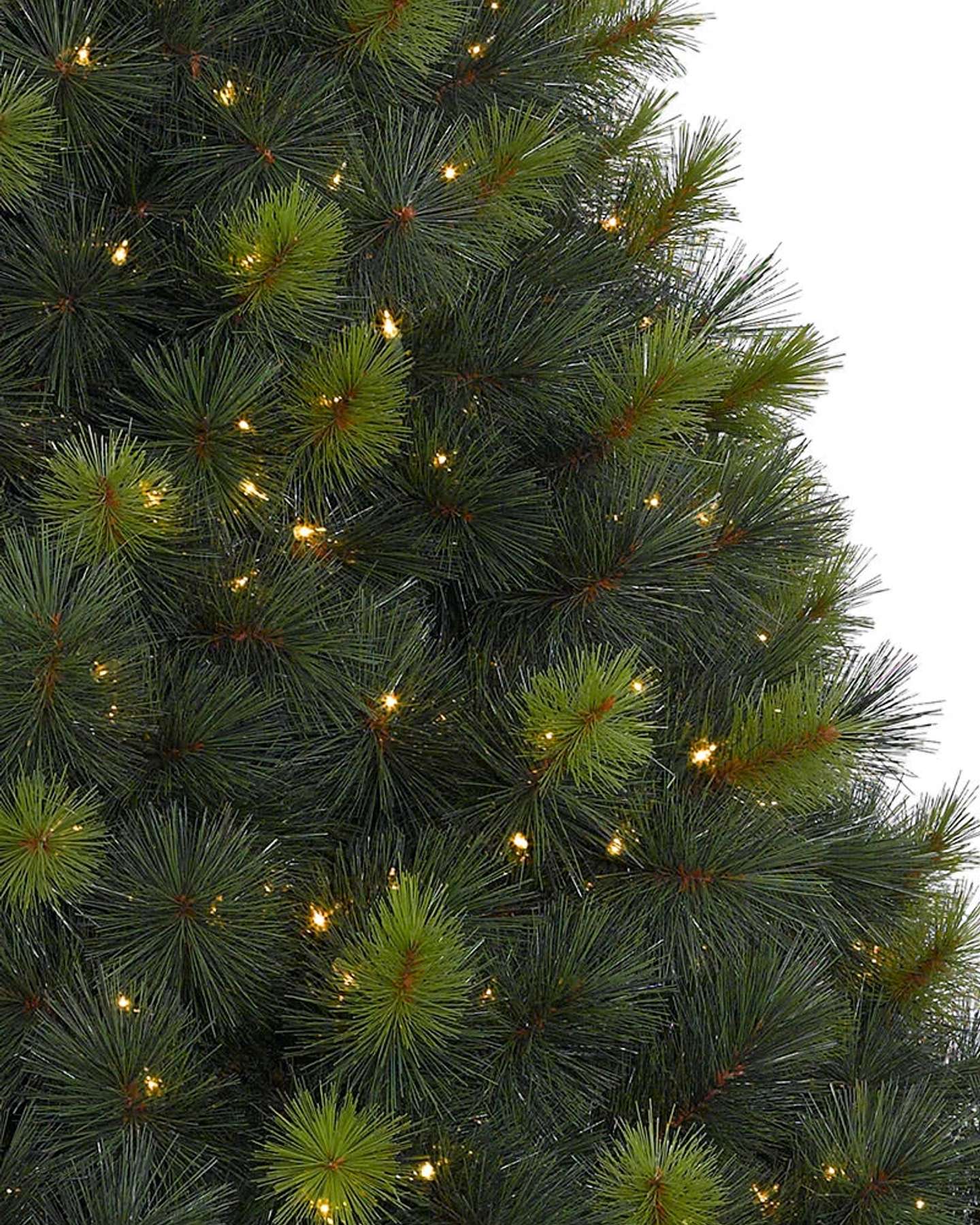 Balsam Hill Scotch Pine Artificial Christmas Tree Clear Closeup