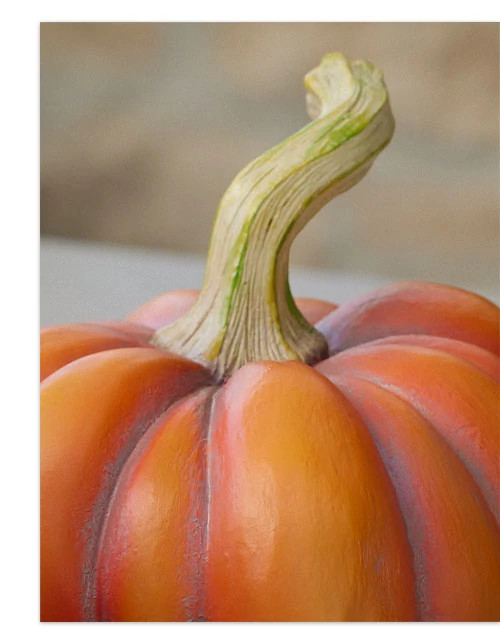 Outdoor Heirloom Tabletop Pumpkin Set | Balsam Hill