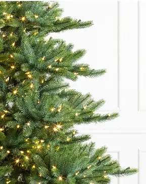 Durango Douglas Fir Durango Douglas Fir