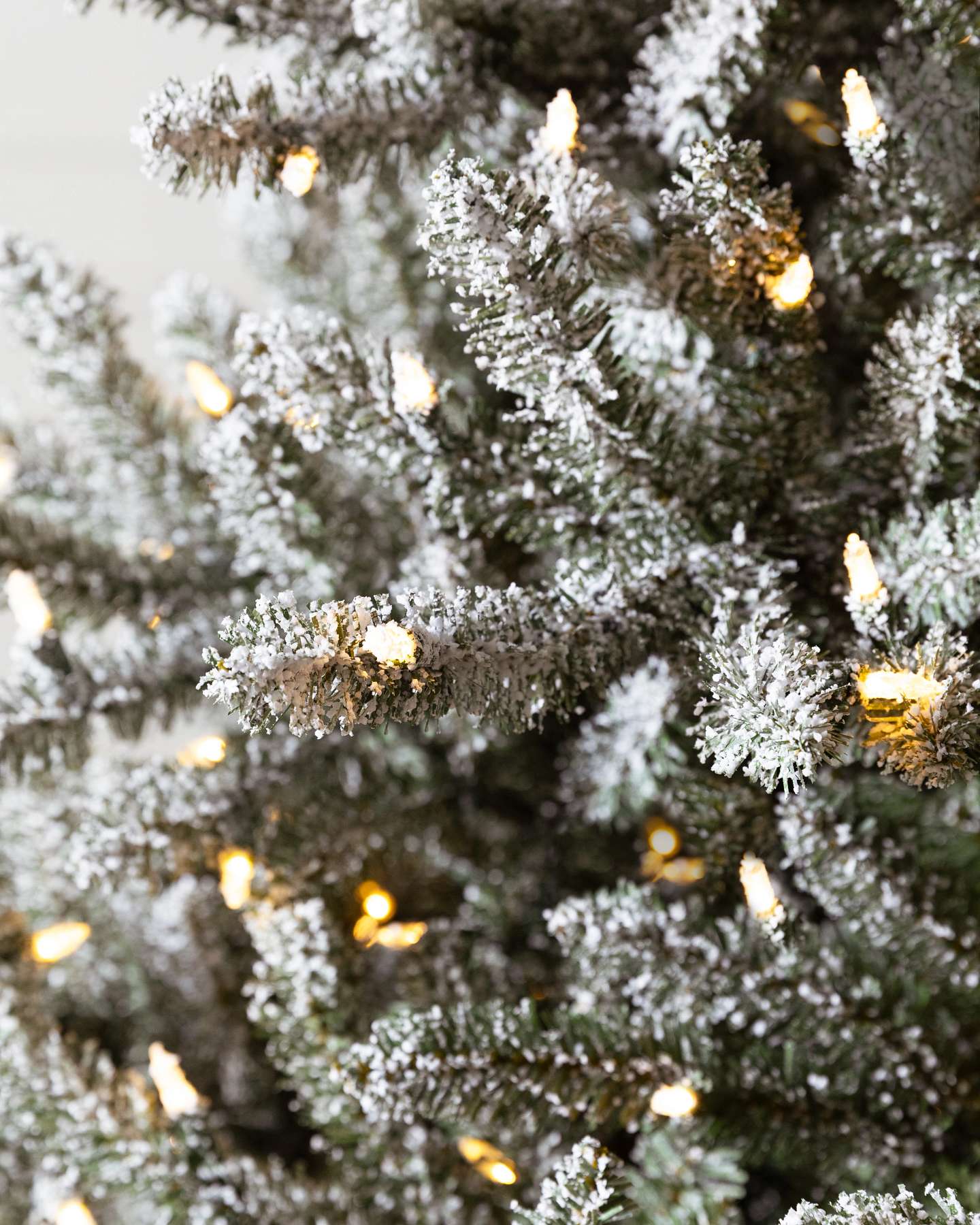 Frosted Classic Blue Spruce by Balsam Hill Closeup 20