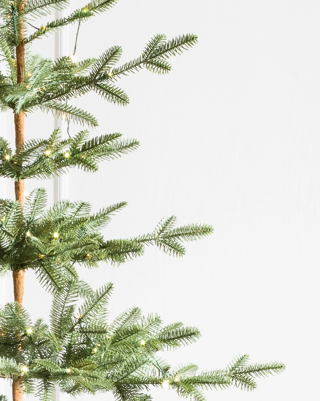 Alpine Balsam Fir by Balsam Hill Closeup 15