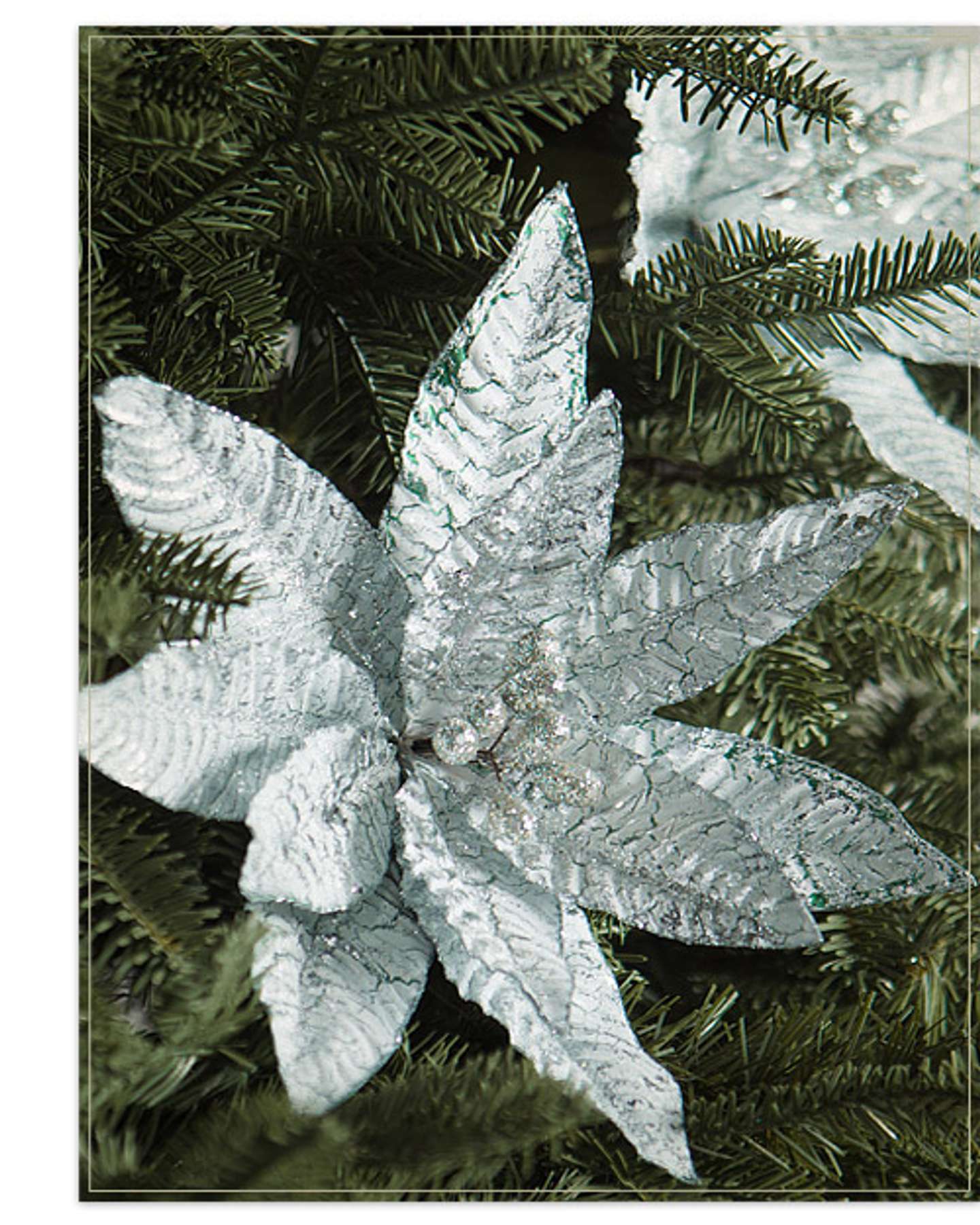 Balsam Hill Midnight Frost Artificial Christmas Tree Picks Displayed in Studio Product Image