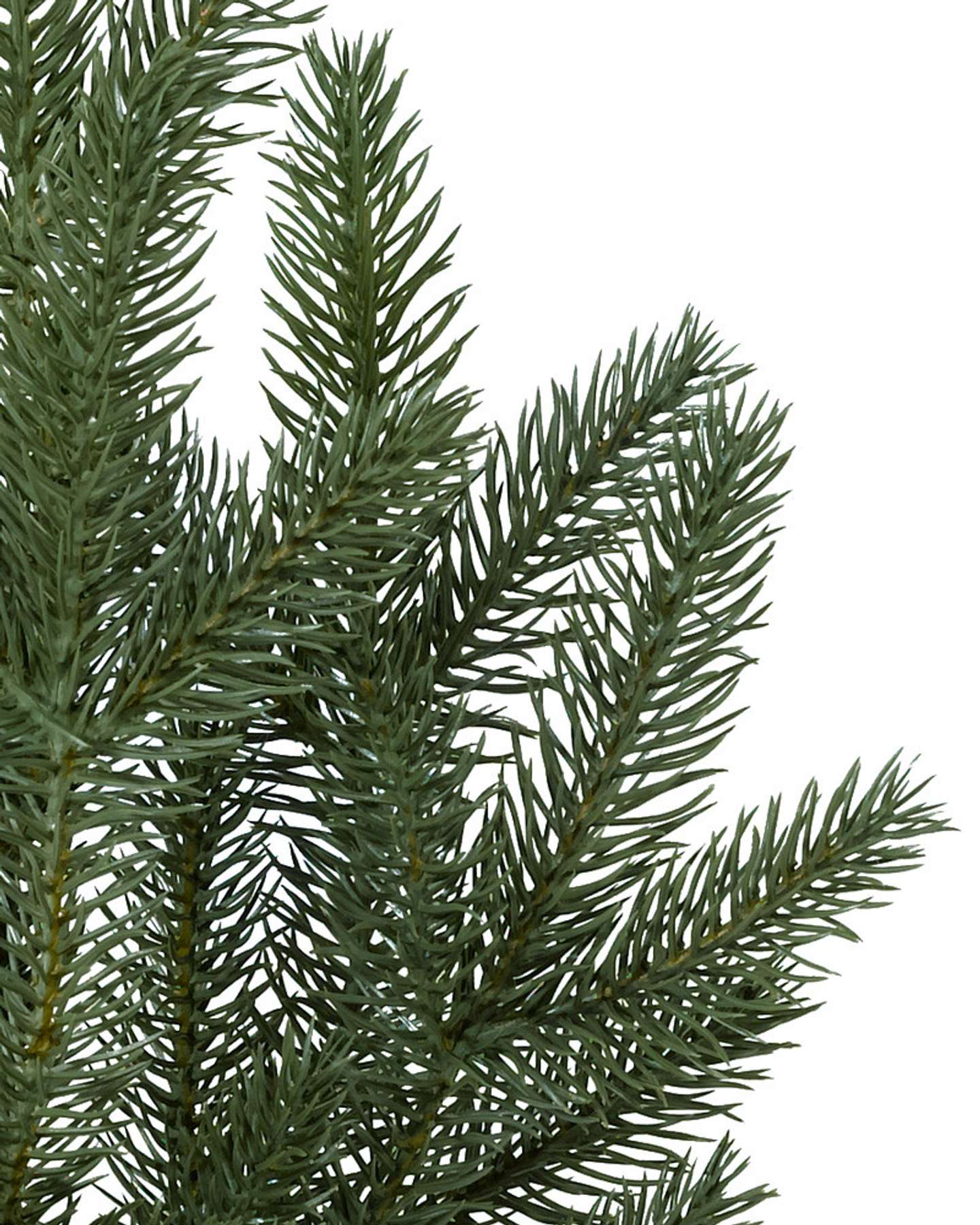 Balsam Hill Silverado Slim Flip Artificial Christmas Tree Detailed Branches
