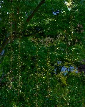 Warm White Fairy Light Tree Cascade Light String with Gold Cord Warm White Fairy Light Tree Cascade Light String with Gold Cord