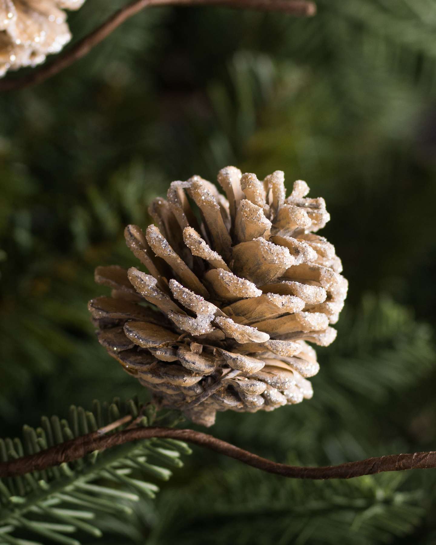 Balsam Hill Winter Pinecone Christmas Tree Picks Set of 12 Elegant Holiday Accent