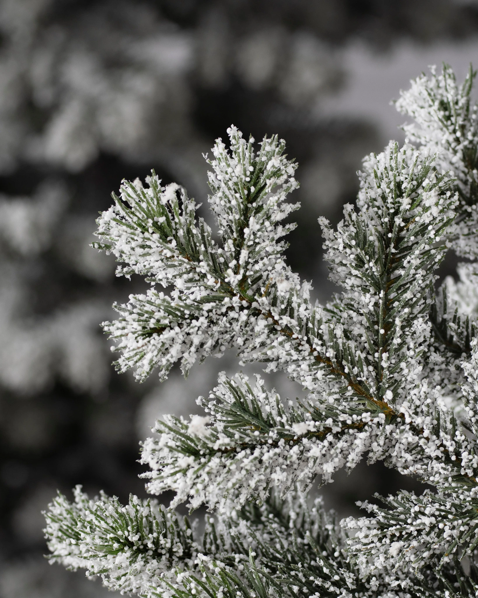 YKN-QT_Frosted-Yukon-