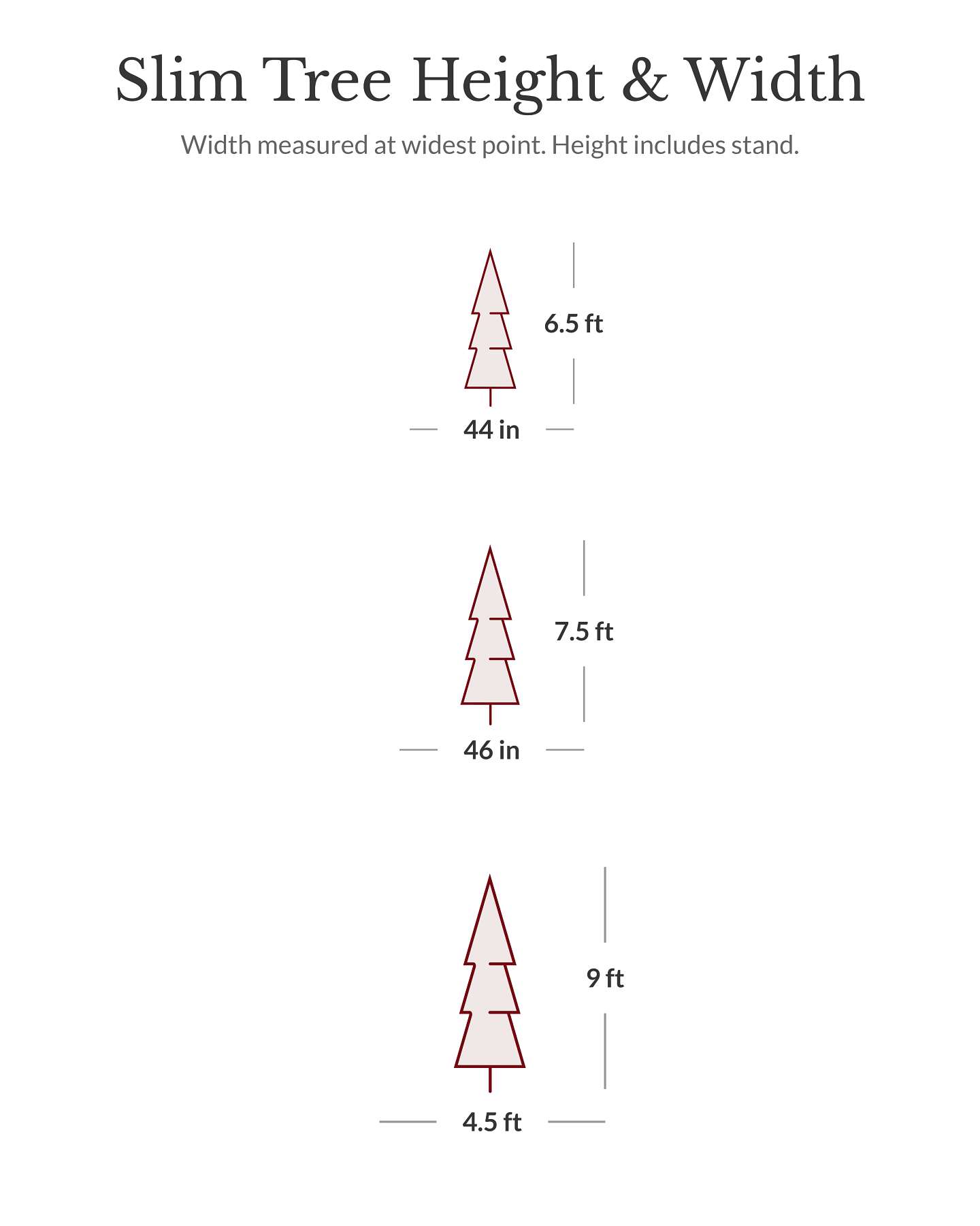 6.5' BH Fraser Fir Narrow