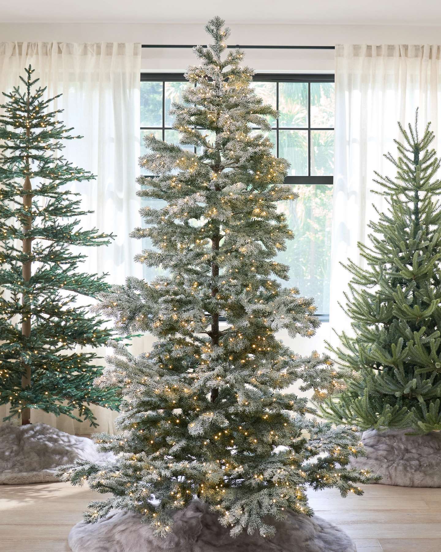 Balsam Hill Frosted Yukon Spruce Artificial Christmas Tree Diplay Along with Alpine Balsam Fir and European Fir Christmas tree