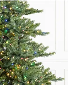 Durango Douglas Fir Durango Douglas Fir