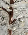 3ft Lit Icy Crystal Branch Tree by Balsam Hill Closeup 20