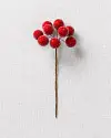 Sugared Berry Mini Picks by Balsam Hill