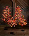 Outdoor LED Autumn Maple Tree by Balsam Hill Lifestyle 45