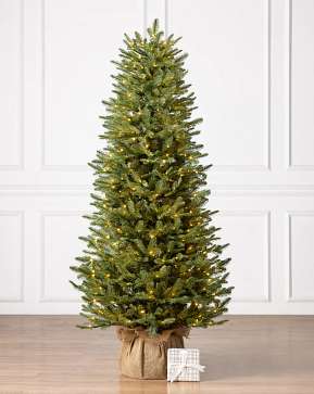 BH Balsam Fir Tabletop Tree with Burlap Base BH Balsam Fir Tabletop Tree with Burlap Base