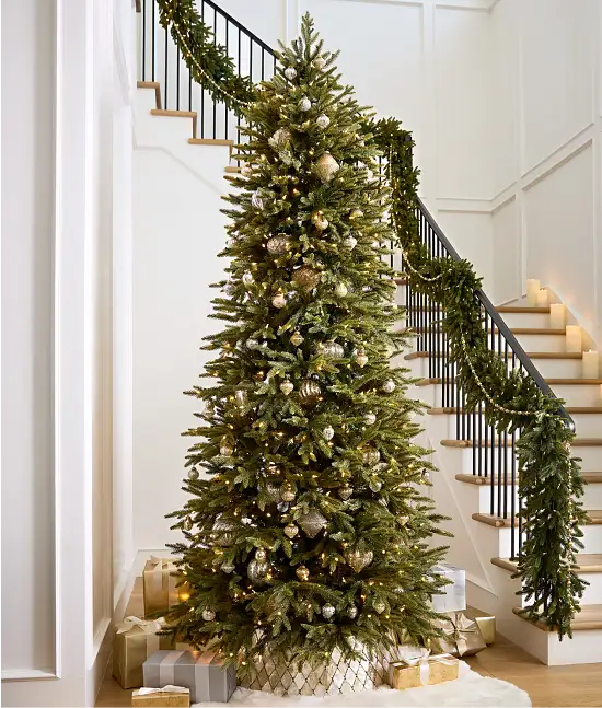 Shop Trees