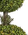 Battery-Operated Boxwood Double by Balsam Hill Closeup 20