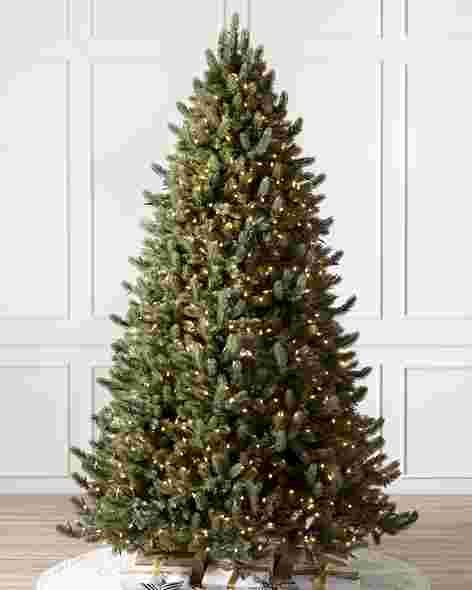 Vermont White Spruce Tree by Balsam Hill SSC 10