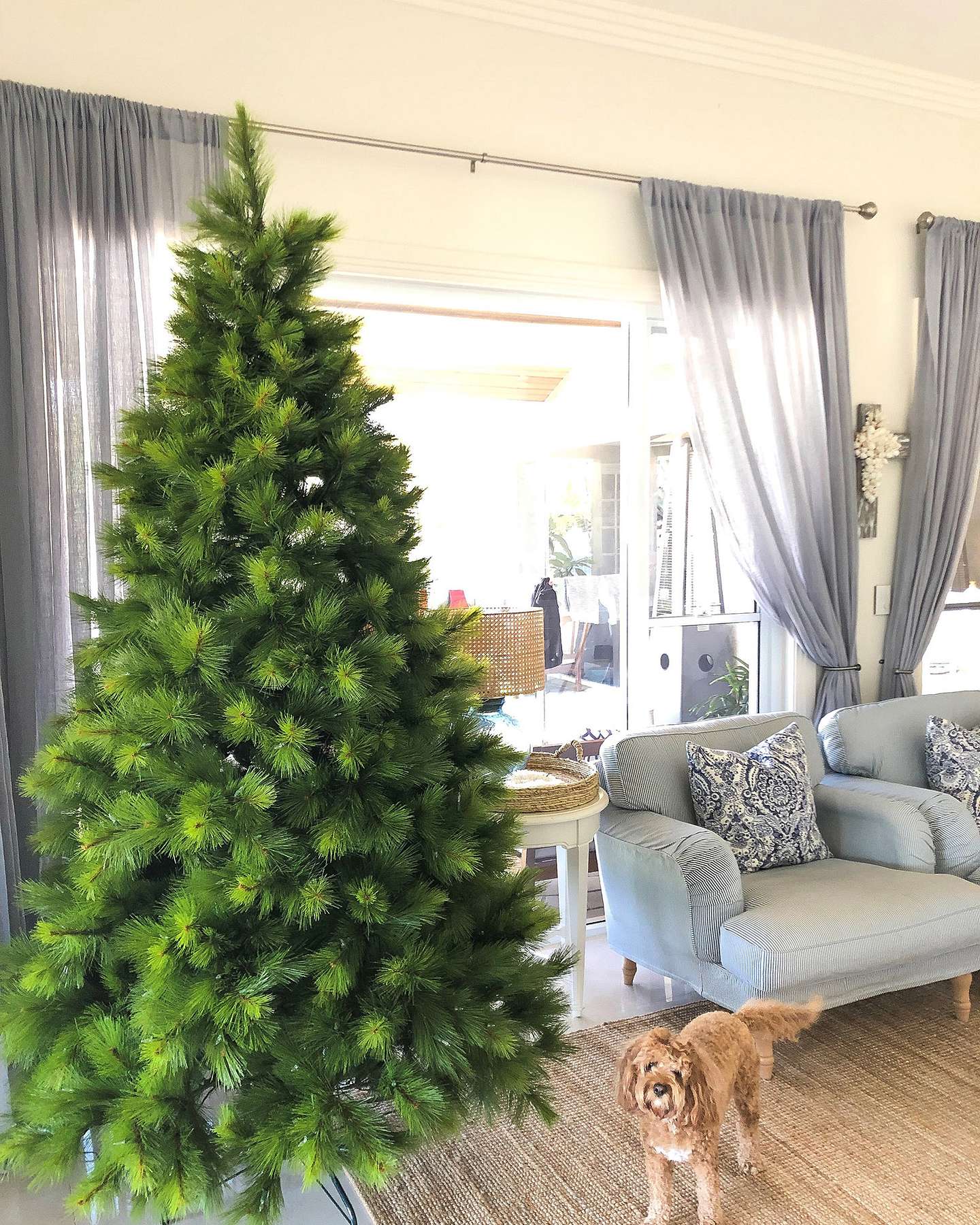 Balsam Hill Monterey Pine Christmas Tree Featured on For the Love of My Home