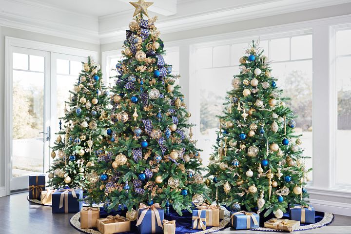 Christmas decorations: When is it best to put up the tree? The earlier the  better according to experts