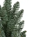 Classic Blue Spruce by Balsam Hill Detail