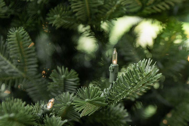 Close-up image of a pre-lit artificial Christmas tree branch