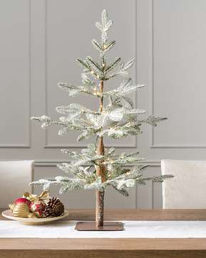 Frosted Alpine Balsam Fir® Tabletop Tree Frosted Alpine Balsam Fir® Tabletop Tree