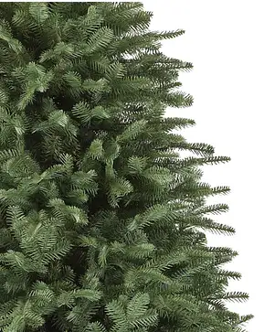 BH Balsam Fir BH Balsam Fir