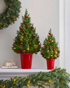 Jingle Bells Potted Pine Tree Set Jingle Bells Potted Pine Tree Set