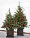 Outdoor Red Berry Evergreen Potted Tree by Balsam Hill
