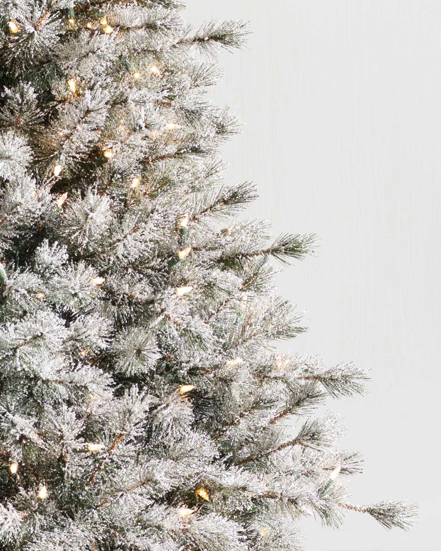 Frosted Sugar Pine LEDCA by Balsam Hill Closeup 10