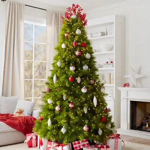 Christmas Trees