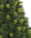 Branch Sample Kit by Balsam Hill Closeup Scotch Pine