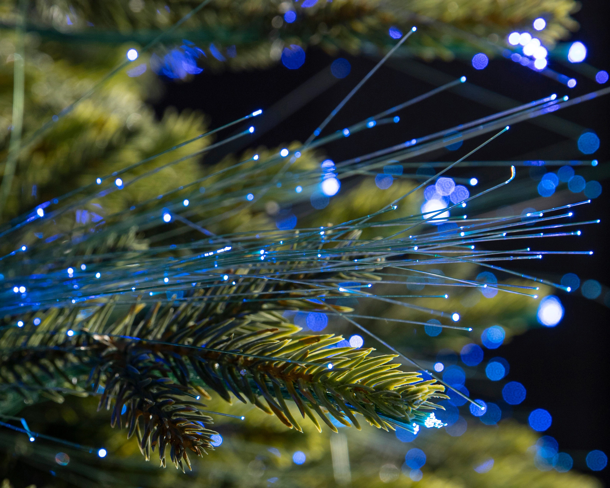 fiber optic light show