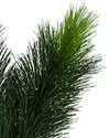 Scotch Pine Tree by Balsam Hill Detail