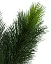 Scotch Pine Tree by Balsam Hill Detail