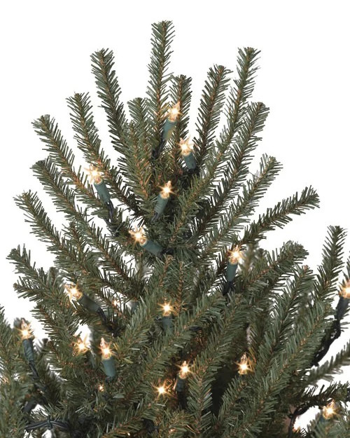 Balsam Hill Potted Baby Spruce By Balsam Hill