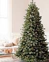 Frosted Sugar Pine Tree by Balsam Hill Lifestyle 20