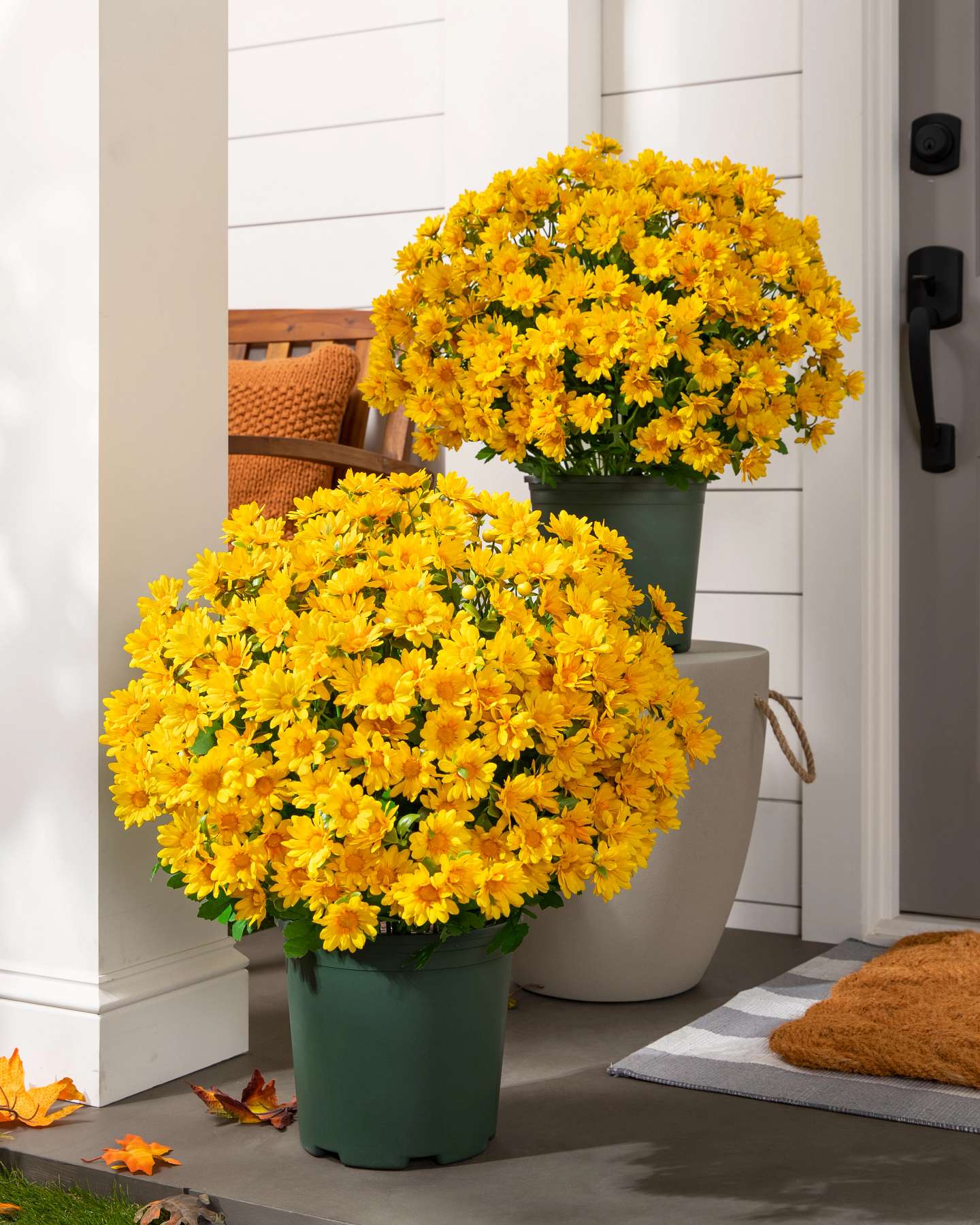 Balsam Hill Gold Outdoor Sunset Mums Potted Artificial Fall Foliage Set of 2 20-Inch Outdoor Display