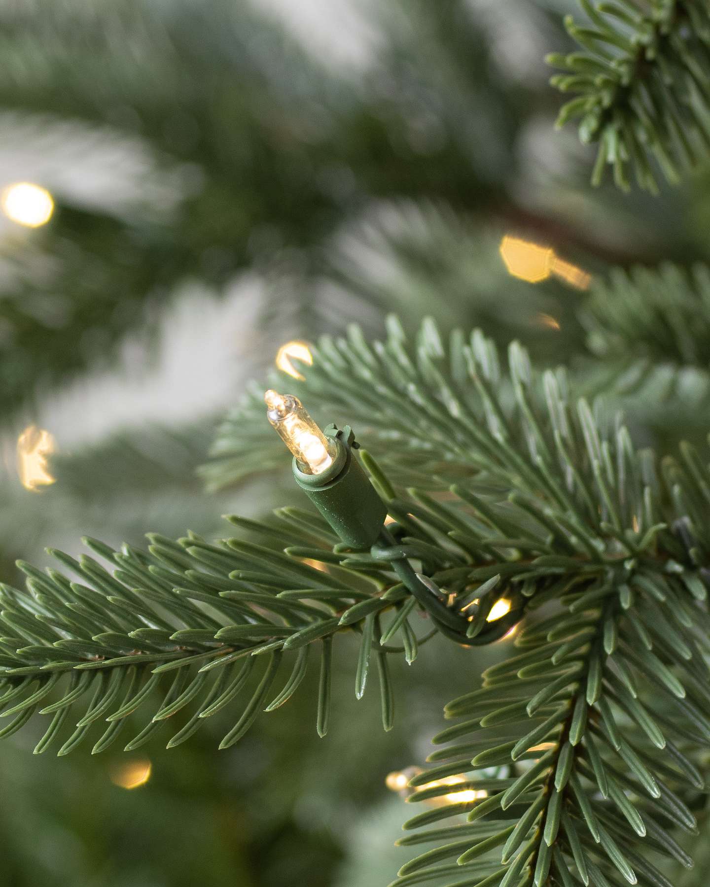 European Fir LEDCA by Balsam Hill Closeup 10