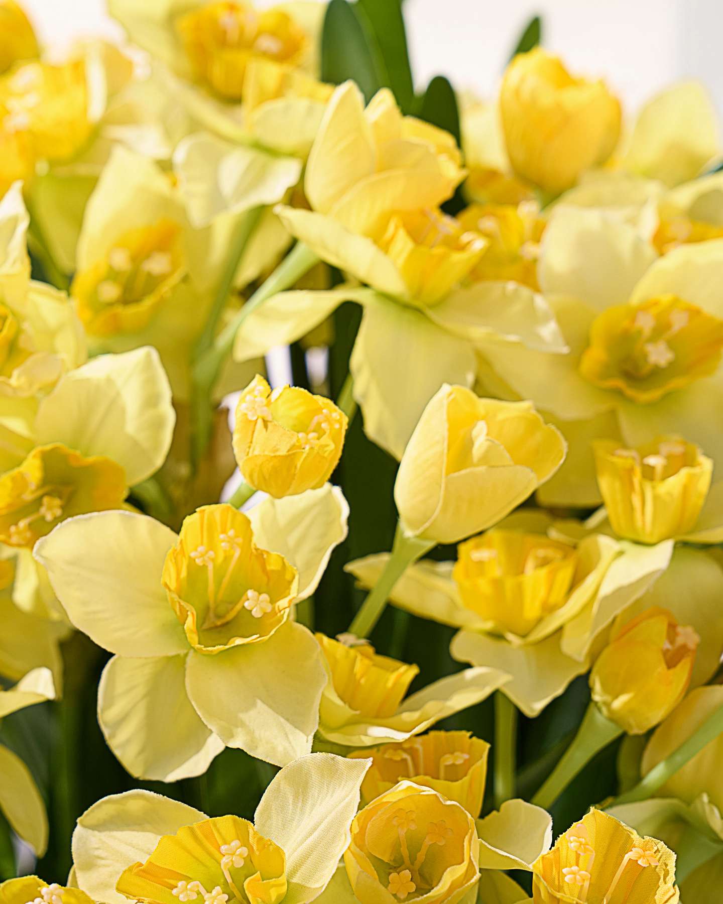 Golden Daffodil Foliage Pot Filler Set of 2 by Balsam Hill Closeup 10
