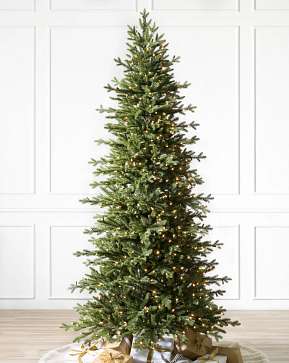 Red Spruce Slim Red Spruce Slim
