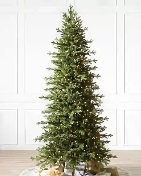 Red Spruce Slim Tree by Balsam Hill SSC 10