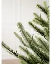 Potted Baby Sanibel Spruce by Balsam Hill Closeup 10