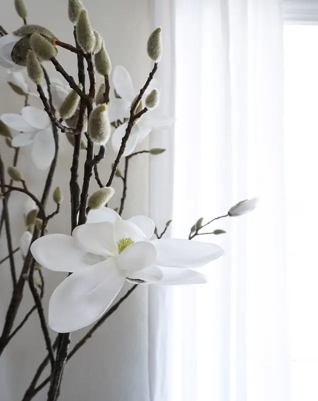 Blooming Magnolia Tree by Balsam Hill Blog 10